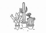 Cactus Aesthetic Tumblr Drawing Plant Coloring Pages Clipart Transparent Drawings Cacti Cute Succulents Blackandwhite Sticker Plants Flower Clip Getdrawings Gif sketch template