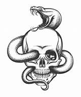 Tete Mort Skulls Engraving Serpiente Graphicriver Skeletons Ripper Occult Witches Doom Grim Gothic Serpent Lebka Calavera Pleasure Cranio Serpente Incisione sketch template