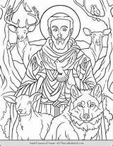 Assisi Francis Thecatholickid sketch template