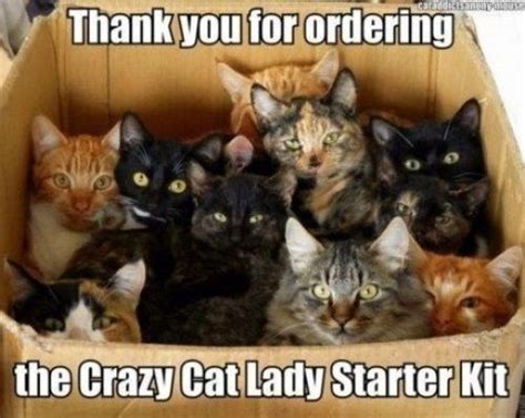 30 Of The Best Cat Memes Crazy Cat Lady Meme Cat Lady