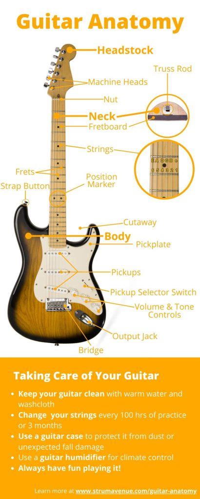 guitar anatomy diagrams