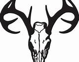 Bone Collector Skull Deer Coloring Template sketch template