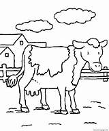 Cow Coloring Pages Animal Farm Printable Animals Print Davemelillo Mom Color Getdrawings Sheets sketch template