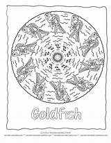 Mandala Coloring Fish Rainbow Goldfish Pages Wonderweirded Wildlife sketch template