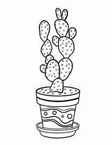 Cactus Printable Kawaii Colorier Succulents Piante Grasse Création Broderie Colouring Adulte Essayer Fuente Suculentas Pittura Motivi Feltro Pagine Ricamati Nastri sketch template