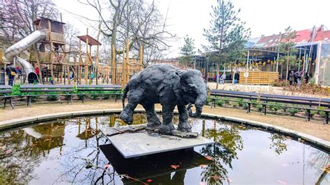 zoo antwerpen   top attraction  visit  antwerp