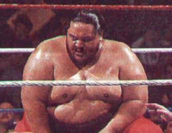 wrestling yokozuna