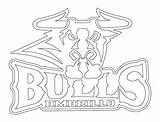 Bulls Chicago Coloring Pages Printable Bull Print Basketball Getdrawings Drawing Bears Getcolorings Logo Color sketch template