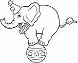 Circus Elephant Ball Coloring Pages Balancing Book Kids Printable Color Montessori Sheets Carnival Preschool Themed Animal Sheknows Print Choose Board sketch template