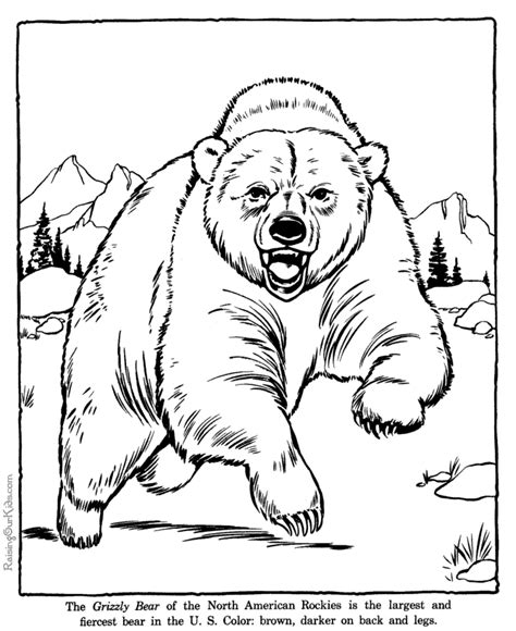 bear coloring pages    print