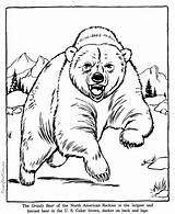 Bear Coloring Pages Print sketch template