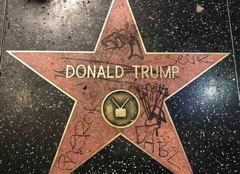 donald trumps star  hollywood walk  fame defaced  exclusive uinterview