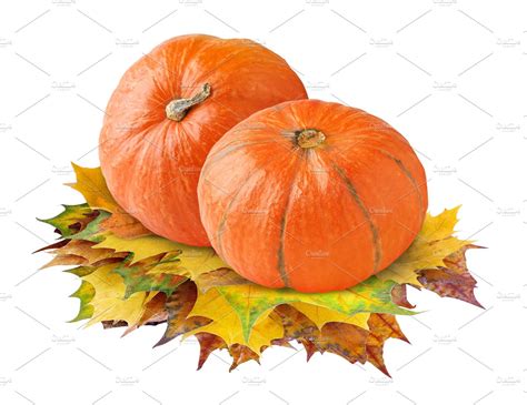 pumpkins  autumn leaves isolated food drink  creative market