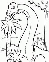 Brachiosaurus Coloring Pages Kids Sheets Magnificent Brontosaurus Colouring Clipart Popular Dinosaurs Printable Library Coloringhome Line sketch template