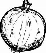 Onion Sketch Stock Illustration Outline Whole Cartoon Vegetable Coloring Vector Book Depositphotos sketch template
