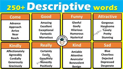 descriptive words examples list  meaning  synonyms engdic