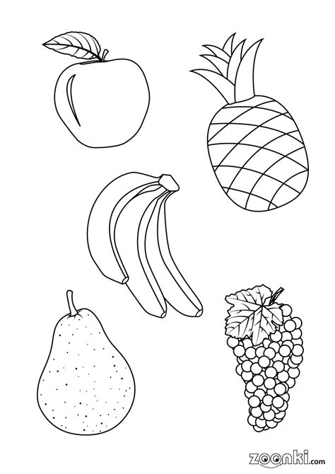 fruit colouring pages delicious fruits zoonkicom