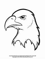 Eagle Bald Coloring Pages Kids Facts Patriotic Fun sketch template