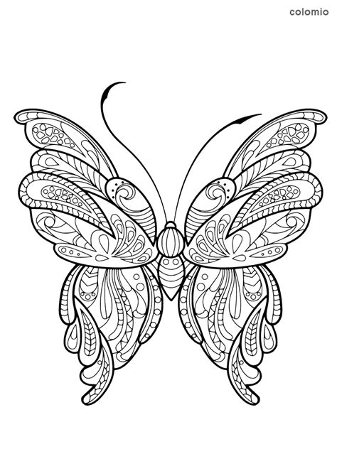 butterflies coloring pages  printable butterfly coloring sheets