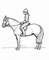 Horse Coloring Pages Riding Rider Girl Learning Drawing Print Animal Years English Pferde Back Saddle Animals Climbing Zum Ausmalen Pferd sketch template