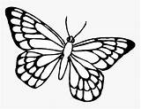 Colorear Butterfly Mariposa Mariposas Papillon Farfalle Farfalla Disegno Borboletas Colorate Stampare Desenho Pginas Butterflies Dibujosfaciles Correlata Kupu Mewarnai Coloriages Cantik sketch template