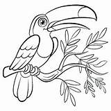 Birds Coloring Pages Kids Printable Color Print Children Animals sketch template