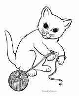 Coloring Kitten Pages Printable Cat Printing sketch template
