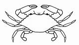 Crab Blue Clipart Sketch Drawing Cute Transparent Callinectes Sapidus Hermit Quadrat Outside Getdrawings Crustaceans Paintingvalley Webstockreview Pluspng sketch template