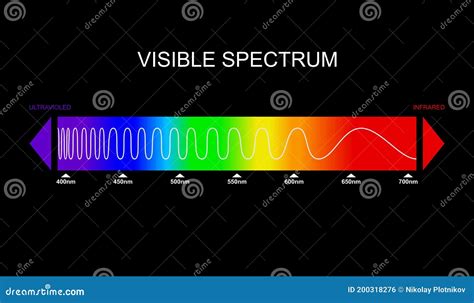 visible light spectrum infared  ultraviolet optical light