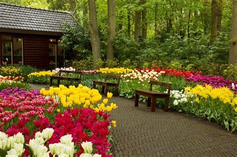Spring garden Keukenhof, Holland   Stock Photo   Colourbox