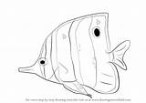 Drawing Butterflyfish Draw Step Fish Easy Drawingtutorials101 Fishes Drawings Coloring Book Sea Animals Learn Tutorial Tutorials sketch template