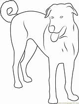 Dog Coloring Anatolian Coloringpages101 Pages sketch template