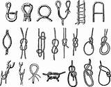 Openclipart Knots Bends Splices Hitches sketch template