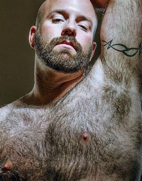 hairy bear men beards ink men hairy men hairy hunks y hairy chest