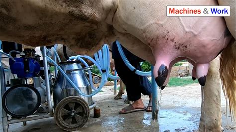 Cow Milking Machine In Nairobi Central Farm Machinery And Equipment