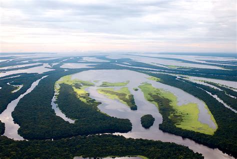 nephicode   amazon river   delta part ii