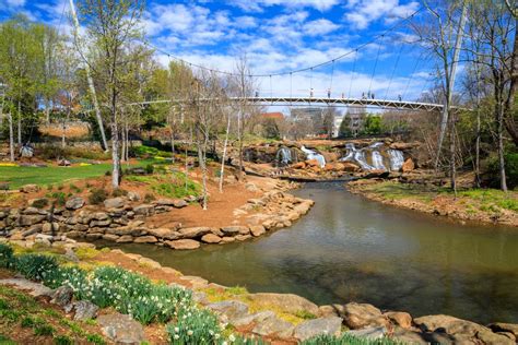 downtown greenville  crazy tourist