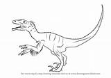 Utahraptor Draw Drawing Step Dinosaurs Tutorials sketch template