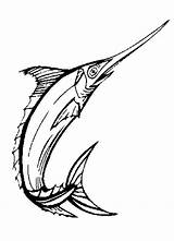 Swordfish Rat sketch template