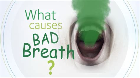 bad breath 6 causes and 6 solutions