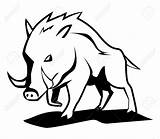 Boar Wild Clipart Hog Vector Drawing Illustration Stock Boars Cartoon Drawings Cinghiale Skull Disegno Di Clip Un Silhouette Da Disegni sketch template
