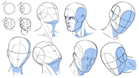 draw heads   angles reference  robertmarzullo  deviantart