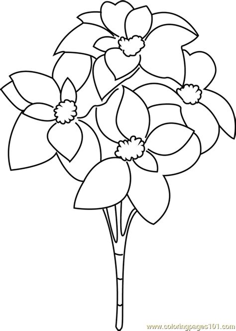 christmas flowers coloring page  kids  christmas decorations