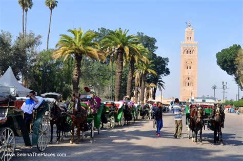 places    jamaa el fna  day marrakesh