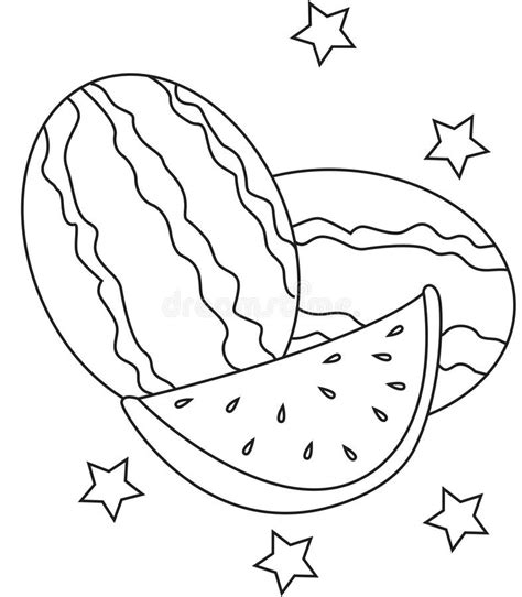 watermelon coloring page stock illustration image  clip