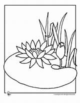 Lily Coloring Water Pages Flower Pad Lilies Flowers Print Clipart Kids Cartoon Color Clip Frog Printable Library Popular Printer Send sketch template