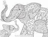 Elephant Coloring Adult Baby Pages Printable Adults Animal Book Colouring Mandala Coloringgarden Sheets Elephants Animals Description Patterns Visit Family Getdrawings sketch template