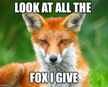 fox meme funny image photo joke  quotesbae