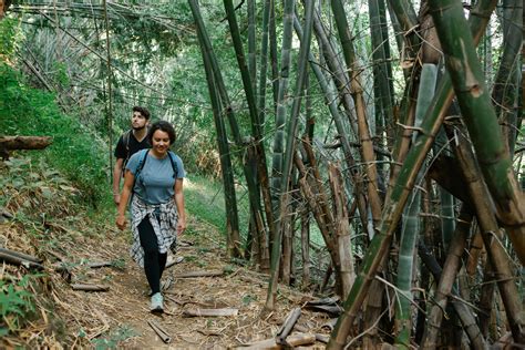 Active Young Couple Strolling In Jungle During Romantic Trip · Free