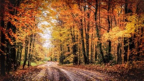 12 best places to experience fall in the midwest midwest explored